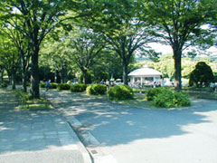 駒沢公園